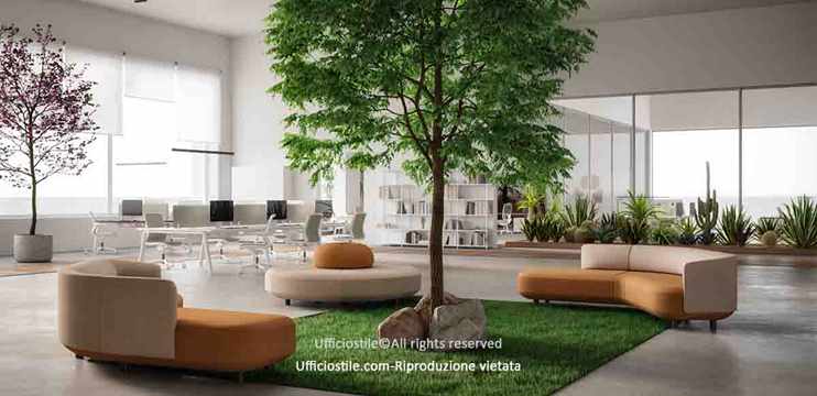 Divanetti, pouf e alberi per area lounge